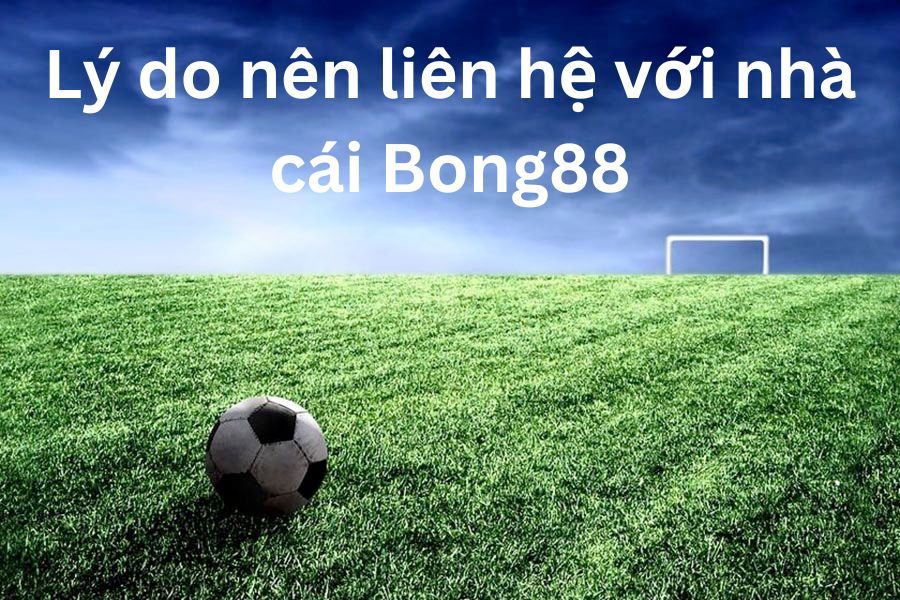 Lý do nên liên hệ với nhà cái Bong88